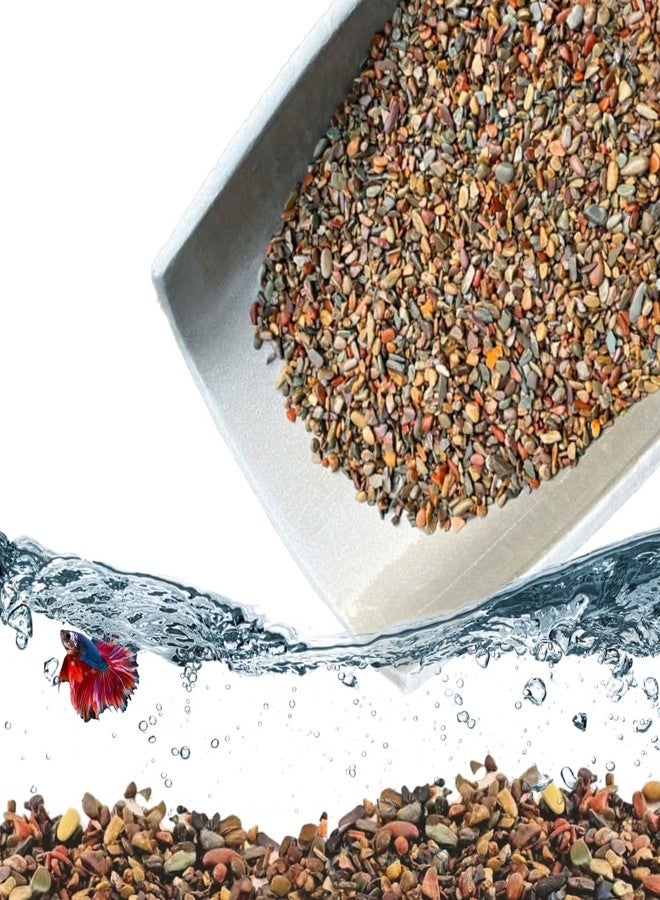 VAYINATO Flat River Stream Stone Rio Xingu - Natural Aquarium Gravel Pebbles for Aquascaping, Terrariums, and Home Decor | Natural, River, Pebbles (3 Kg) - Image 1